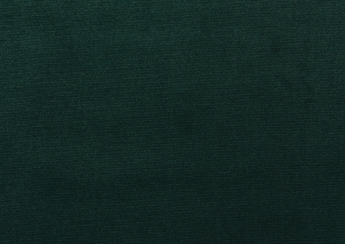 Velour, Forest - Fabric Only - Image 3